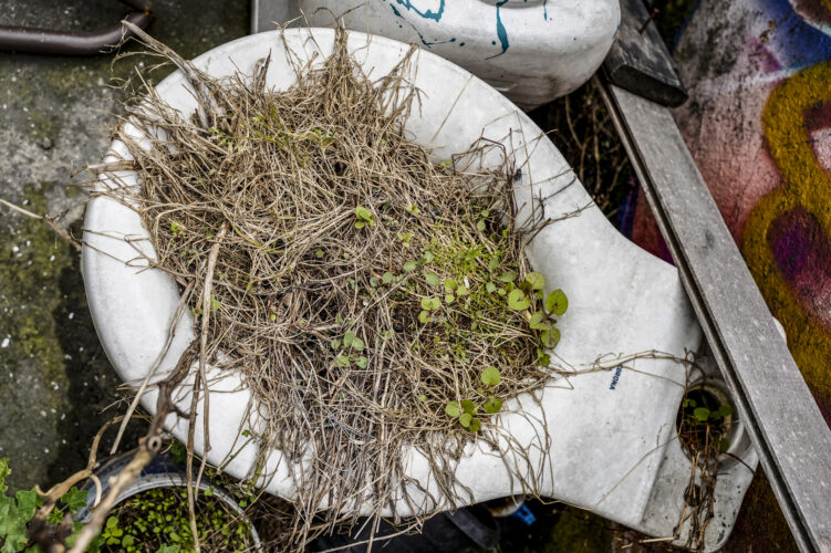 Adaptarse y regenerarse